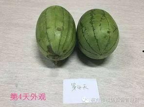 韩城吃瓜原视频