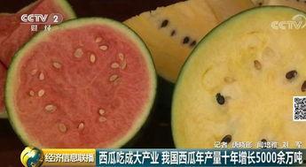 吃瓜群众视频大西瓜,揭秘网络热传视频背后的故事