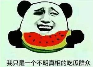 吃瓜视频名字大全免费,带你领略网络娱乐新风尚