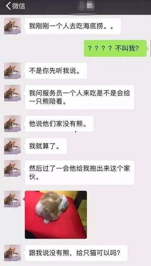 海底捞吃瓜视频宝宝,萌娃美食之旅，萌态可掬引网友热议