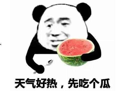 雨天吃瓜视频表情包