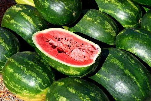 大型吃瓜新闻视频大全,全网热议！大型吃瓜新闻视频大全盘点